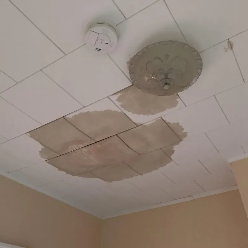 Ceiling Water Damage Repair in East Spencer, NC