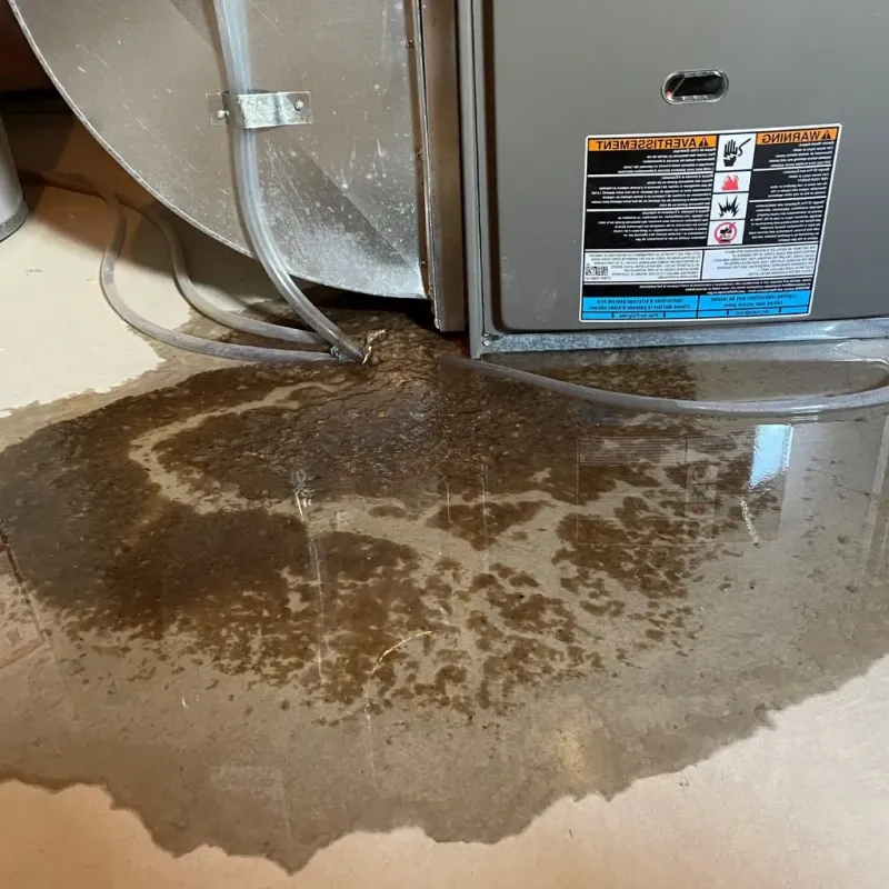 Pipe Burst and Leak Restoration in East Spencer, NC