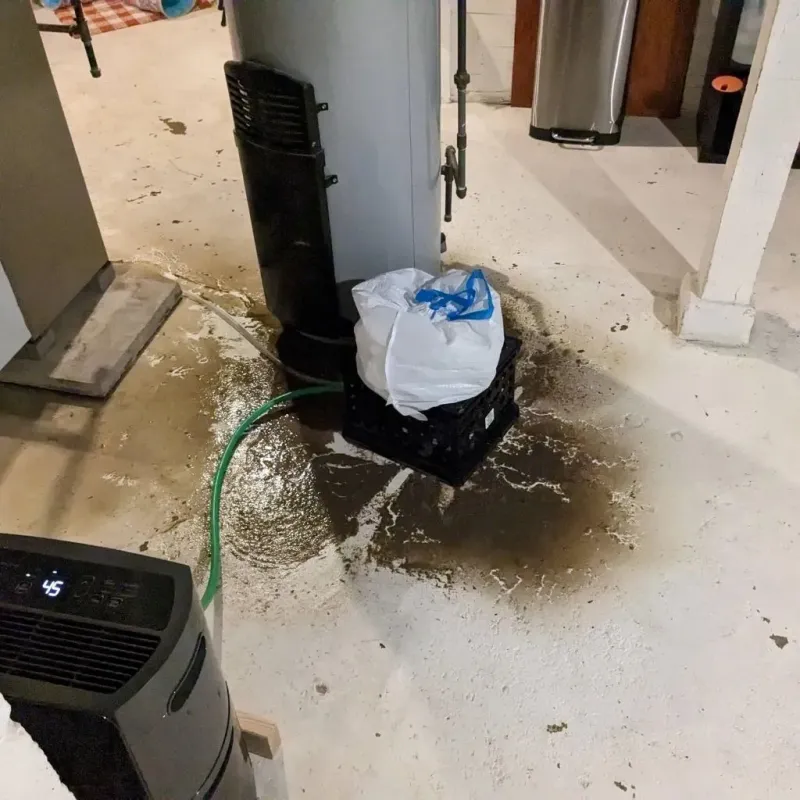 Sewage Backup Cleanup Service in East Spencer, NC
